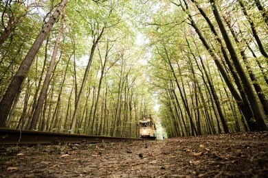 railway leading through the autumn forest with motion blurred train. wide shot from low angle perspective. color toned image.