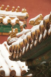 snow in the forbidden city