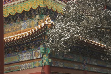 snow in the forbidden city