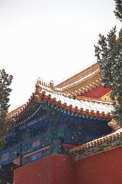 snow in the forbidden city