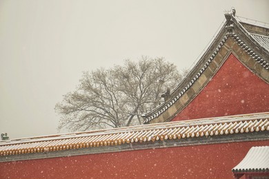 snow in the forbidden city