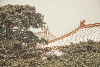 snow in the forbidden city