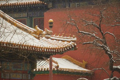 snow in the forbidden city