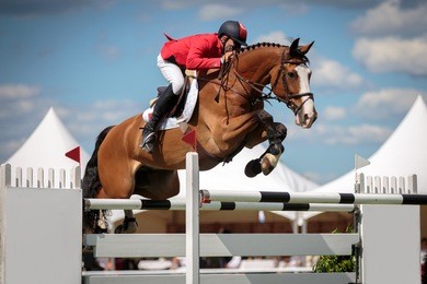 horse jumping, equestrian sports themed photo