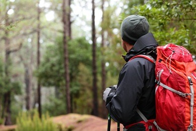 hiker wearing hiking backpack and hardshell jacket on hike in forest. man wearing hat gloves using hiking sticks poles outdoors in woods. male hiker standing looking away.