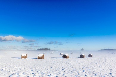farmland field under snow - rural nature winter landscape