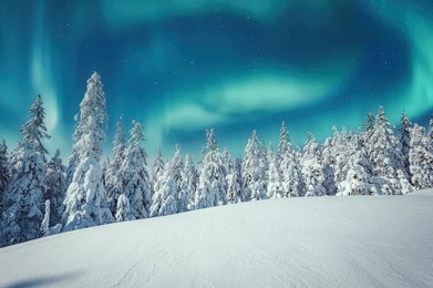 aurora borealis over the frosty forest. green northern lights above mountains. night nature landscape with polar lights. night winter landscape with aurora. creative image. winter holiday concept.