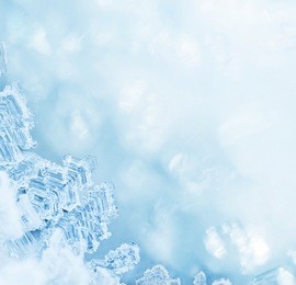 macro shot from hoar frost