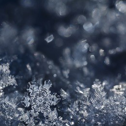 macro shot from snowflake