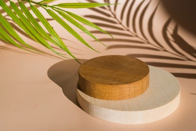 empty wooden podium beige background. product presentation with tropic tree leaves and shadows.