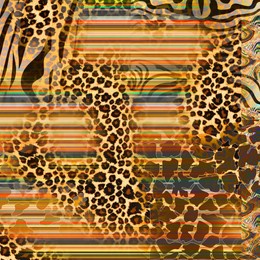 combination of colorful  striped leopard snake tiger textures textile collage pattern