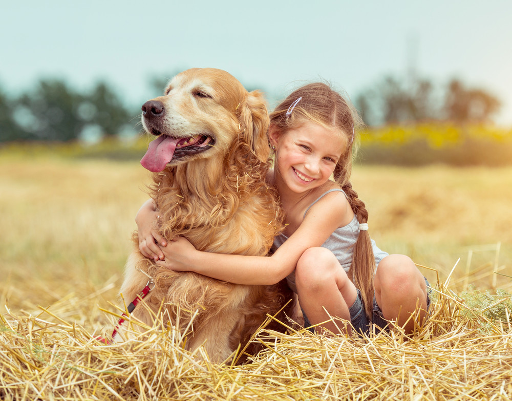 happy little girl with her dog golden retriever in rural areas in summer