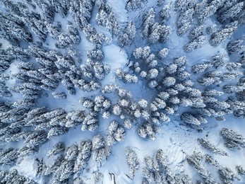 amazing textures with enchanting mountains, magnificent forests and winter landscapes