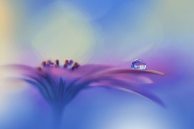 beautiful macro shot of magic flowers.border art design.magic light.extreme close up photography.conceptual abstract image.violet and blue background.fantasy art.creative wallpaper.beautiful nature.