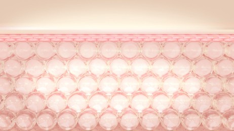 3d rendering layers of the skin's microstructure. the concept for cosmetics.