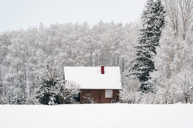 wooden house in snow fairy forest. winter scenery with small cottage surrounded by trees covered with snow and frost. 