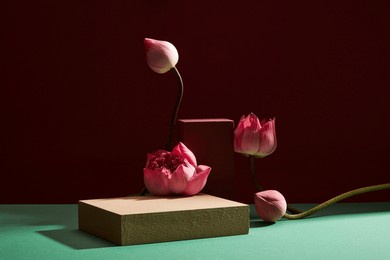 several lotus bubs and lotus flowers (nelumbo nucifera) with an empty stone podium under the light for product presentation