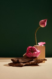 a lotus flower (nelumbo nucifera) and a lotus bub embellished with wooden podium and tree branches on the dark green background. empty space for text or product adding