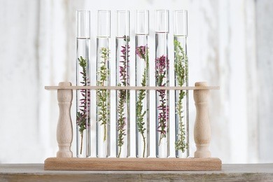 solution of medicinal plants and flowers - decorative objects-flowers in test tubes