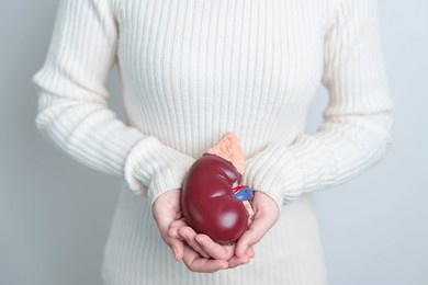 woman holding anatomical human kidney adrenal gland model. disease of urinary system and stones, cancer, world kidney day, chronic kidney and organ donor day concept