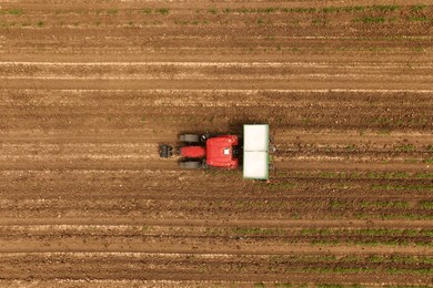 tractor spreading fertilizer over young corn crops