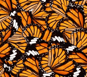 orange butterfly wings. pattern suitable for seamless print. suitable for background and textile.
