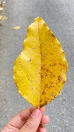 ĽŷרŷSWMY׿Խչ֮·ʱŴ?