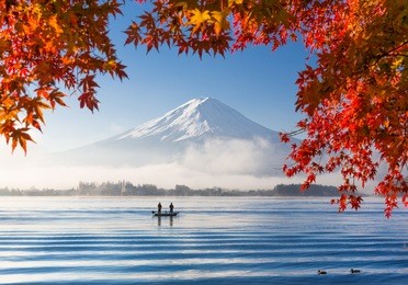 autumn season and mountain fuji with morning fog and red leaves at lake kawaguchiko, japan 