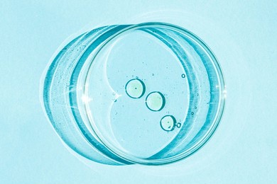 petri dish. petri's cup with liquid. chemical elements, oil, cosmetics. gel, water, molecules, viruses. close-up. on a blue background.