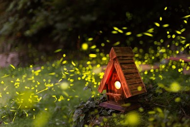 at night, fireflies flit around a wooden bird's nest on a hill. summer is the season for fireflies to breed.