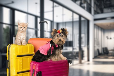 travel concept cute pets dog and cat with suitcase.