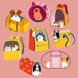 the set of different pet carriers. travel bags for cats and dogs. transportation of animals.