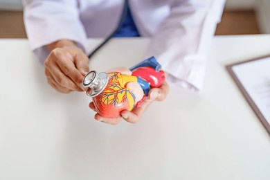 cardiologist doctor hands holding stethoscope to checking heart model, aging health care.