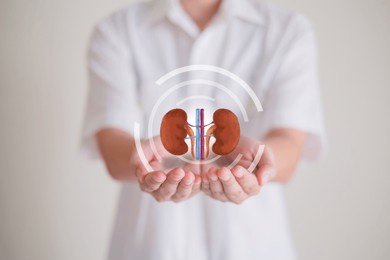 hand's holding kidney, concept of organ donation or charity, hospital, anatomy, diagnosis, cancer, disease donor support, diagnosis health care of life and family, insurance background with copy space