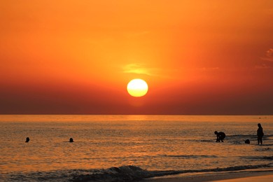 silhouette of group of people friends and family enjoying sunset on beach summer