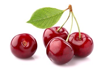 cherry on a white background