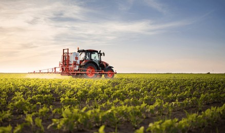tractor spraying pesticides on soybean field  with sprayer at spring