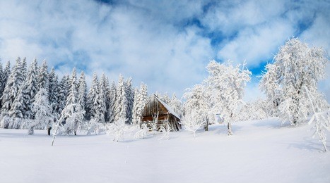 beautiful wooden house in a winter sunny day