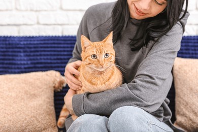 woman stroking ginger cat on sofa at home, closeup
