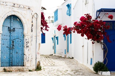 blue doors, window and white wall of building in sidi bou said