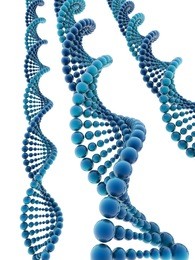 3d dna model on white background. digitally generated image.