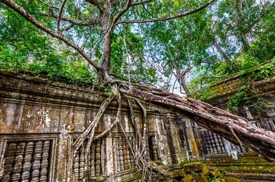 temple of bang melea, siem reap, cambodia.