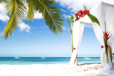 wedding arch decorated with flowers on beach