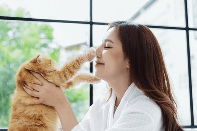 happy asian woman owner cute cat playful in a home. friendship of pet and human people lifestyle.
