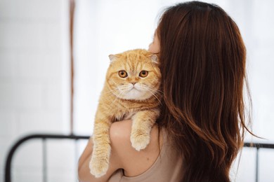 happy asian woman owner cute cat playful in a home. friendship of pet and human people lifestyle.