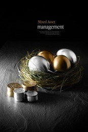 concept image for mixed asset financial management. mixed gold and silver goose eggs in a grass birds nest against a black background. copy space.