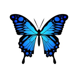 butterfly blue silhouette monarch butterfly design hand drawn vector illustration