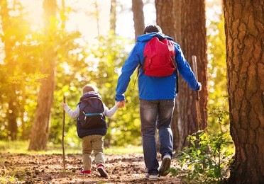 father and son walking in forest at sunset