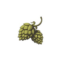 hops vector visual graphic icon or logo, ideal for beer, stout, ale, lager, bitter labels & packaging etc. hop is a herb plant which is used in the brewery of beer. pixel perfect illustration.