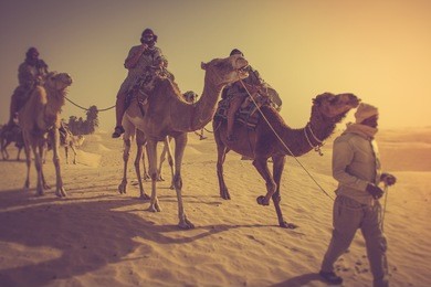 sahara desert. filtered image:cross processed vintage effect. 